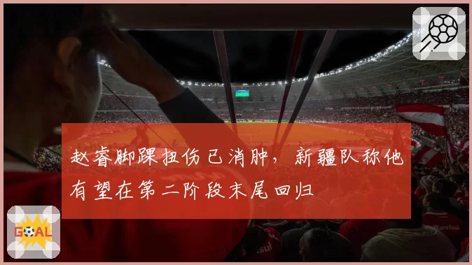 赵睿脚踝扭伤已消肿,新疆队称他有望在第二阶段末尾回归