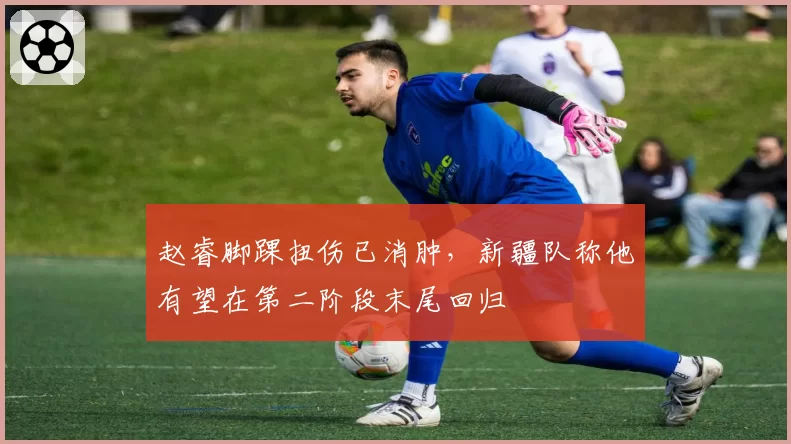 赵睿脚踝扭伤已消肿,新疆队称他有望在第二阶段末尾回归