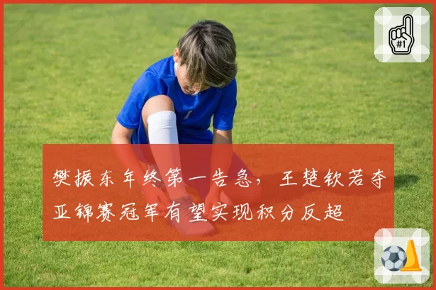 樊振东年终第一告急,王楚钦若夺亚锦赛冠军有望实现积分反超